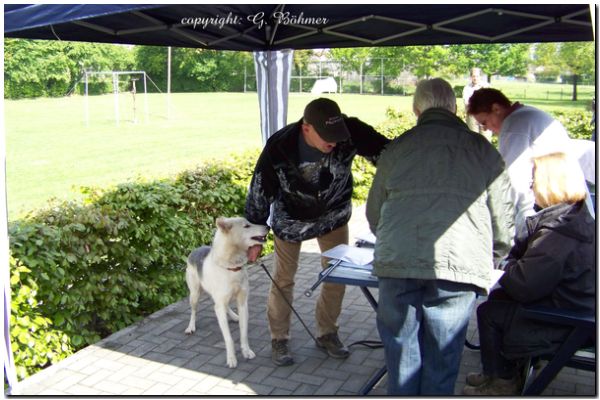 Zuchtzulassung 2010 029.JPG